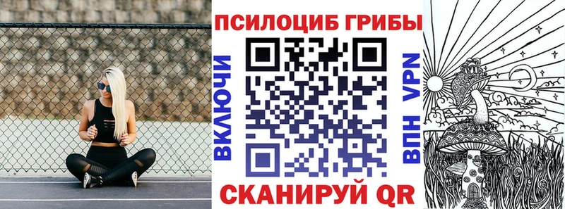 где продают Мостовской Псилоцибиновые грибы Cubensis